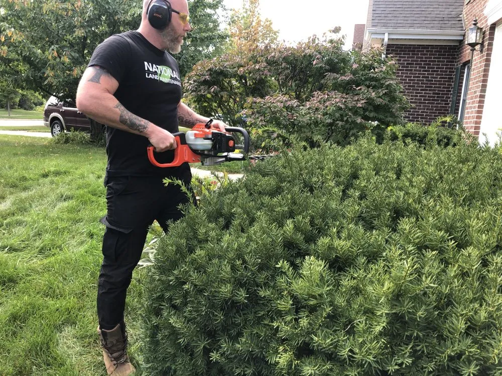 Custom yard cleanup service experts serving Naperville, IL - National Yard Work