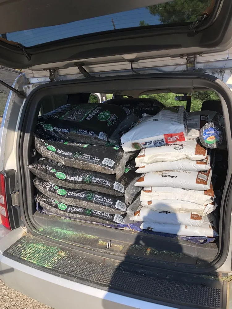 Expert yard cleanup service experts serving Naperville, IL - National Yard Work