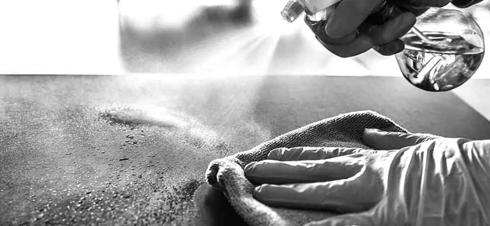 Expert landscape design for year-round maintenance across Silver Spring, MD - Nation's Capitol Services