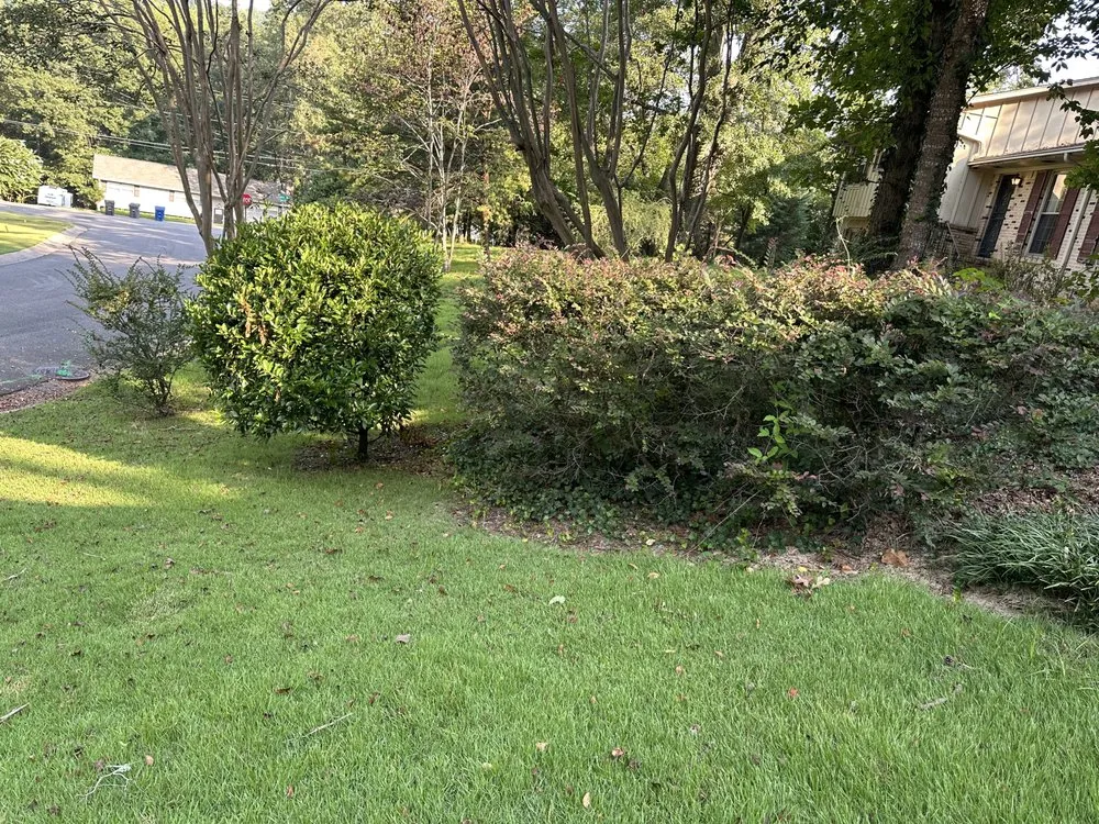 Top-rated landscaping services in Birmingham, AL - Nations Landscape