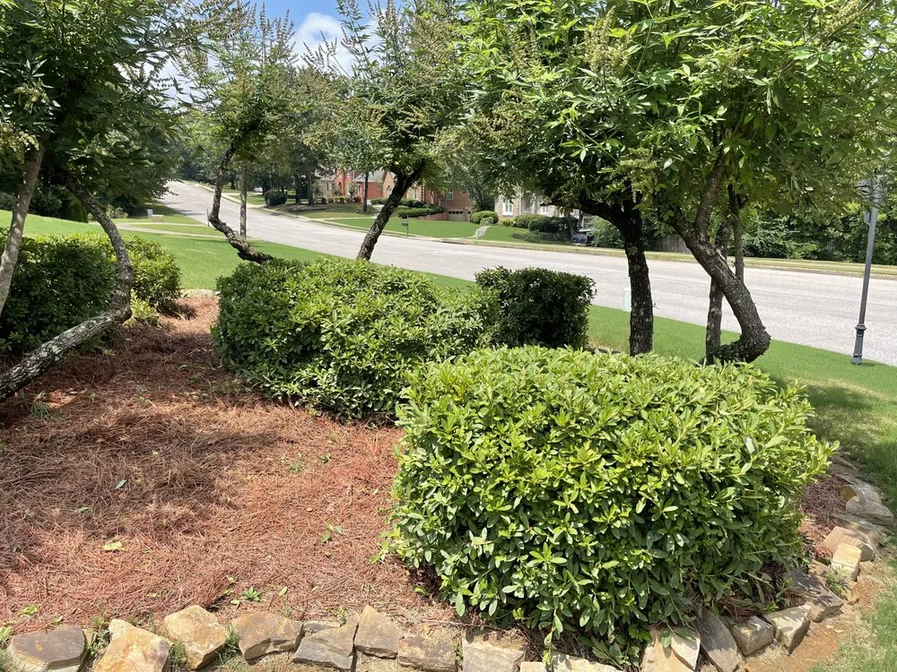 Affordable yard cleanup service in Birmingham, AL by Nations Landscape