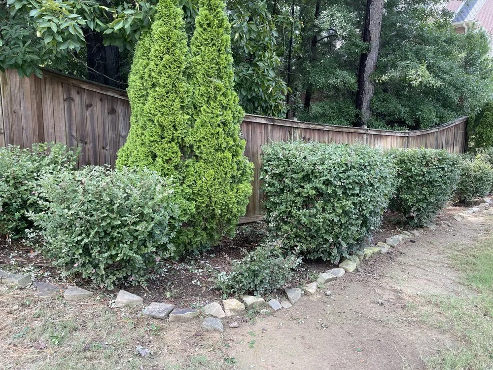 Trusted landscaping services experts serving Birmingham, AL - Nations Landscape