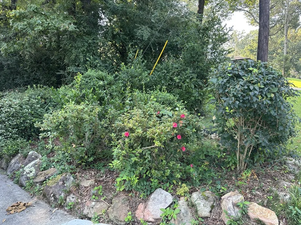 Affordable landscape installation for year-round maintenance across Birmingham, AL - Nations Landscape