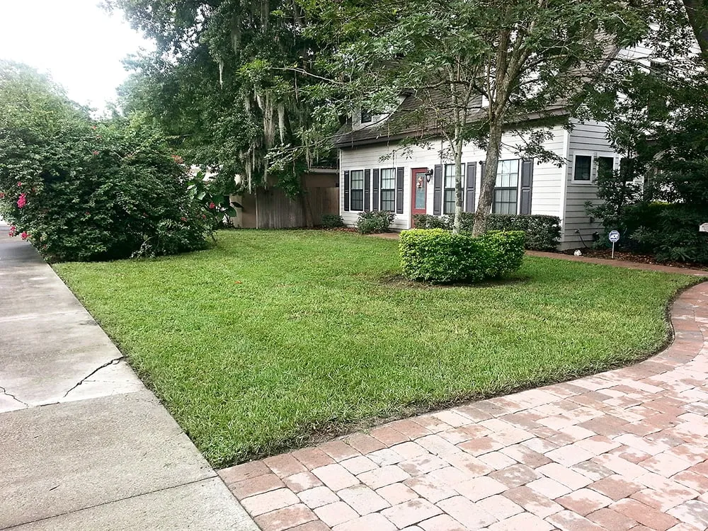 Expert landscape installation experts serving Orlando, FL - Nations Landscaping