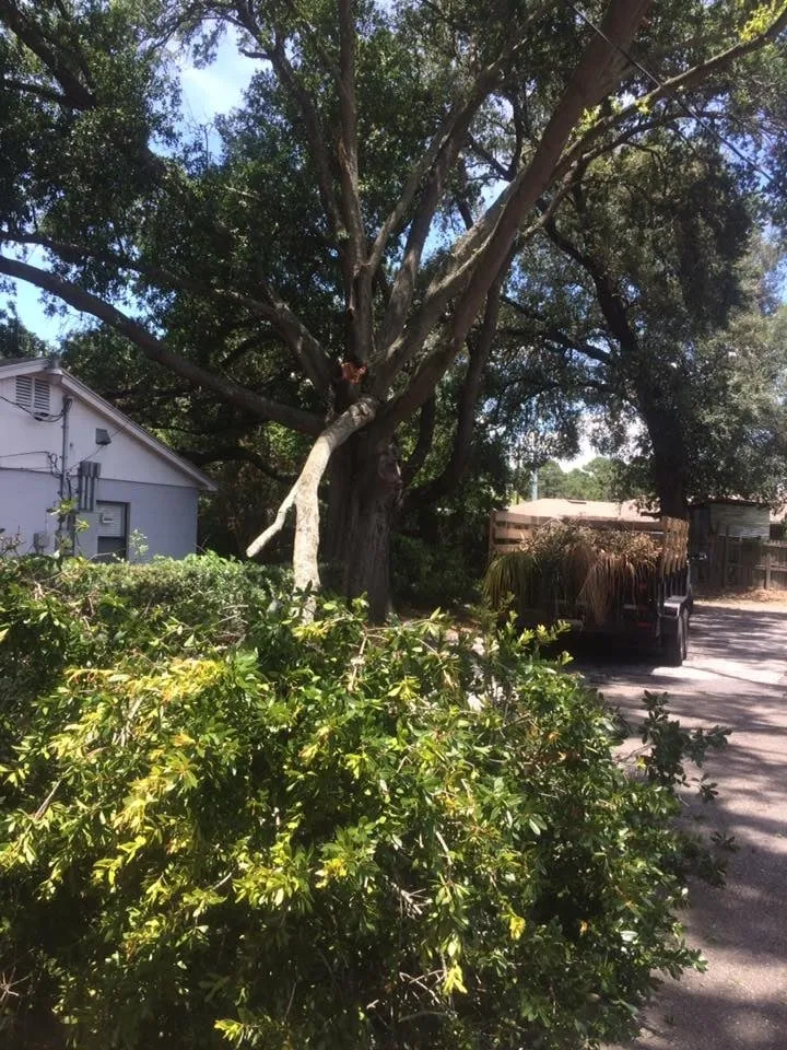 Reliable landscaping services in Orlando, FL - Nations Landscaping