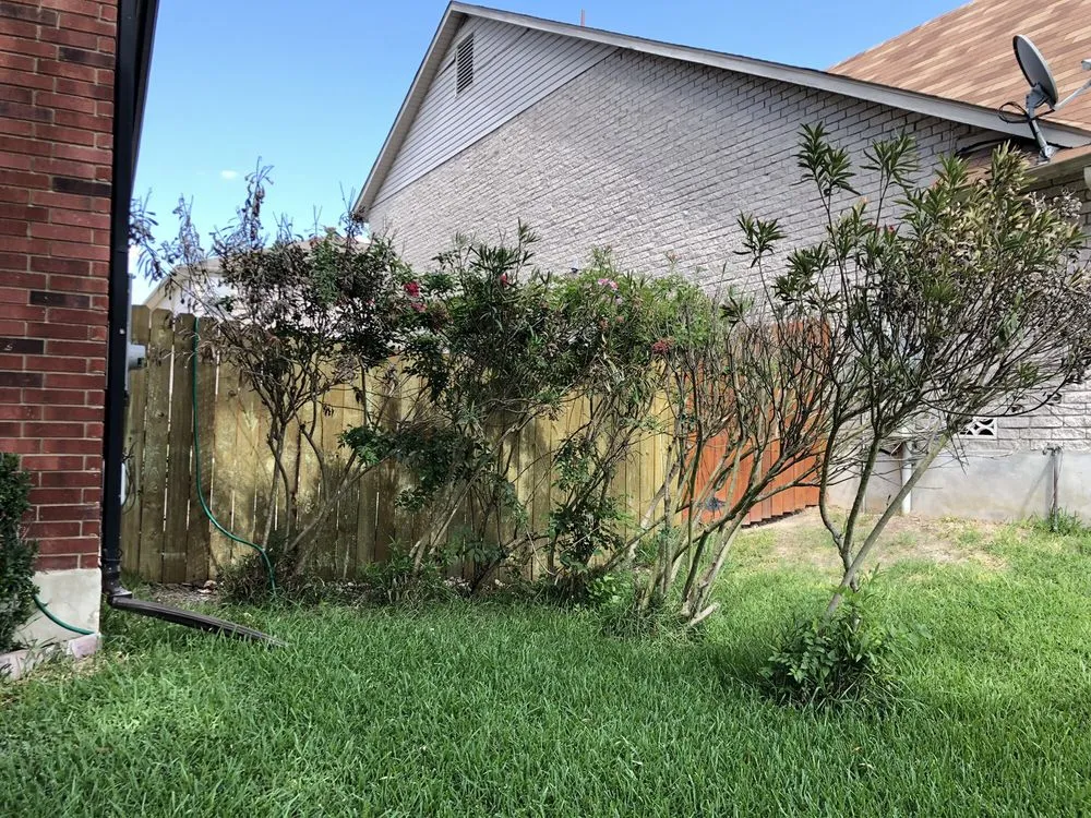 Local landscape design in San Antonio, TX - Nation's Multi-Service