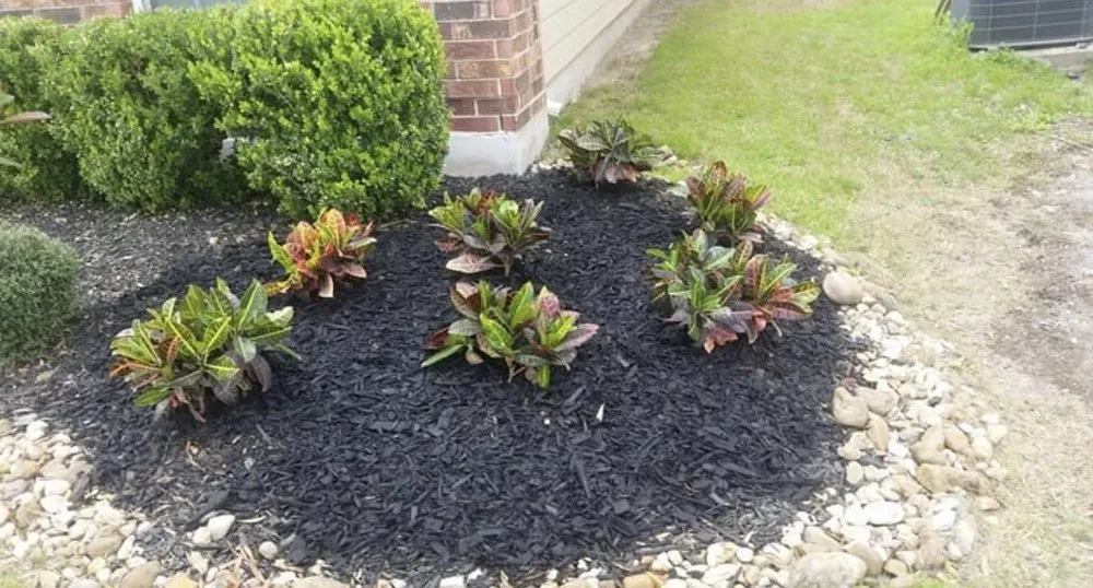 Affordable yard cleanup service in San Antonio, TX - Nation's Multi-Service