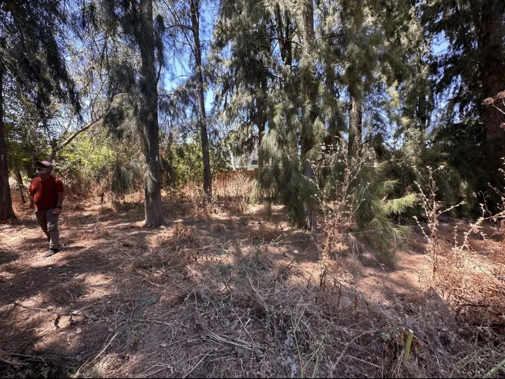 Professional landscaping services with custom design across Rocklin, CA - Nationwide Environmental