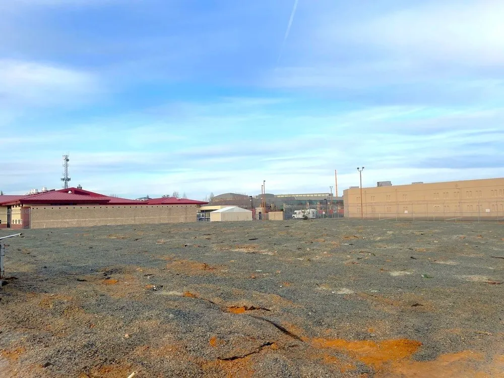 Top-rated yard cleanup service experts serving Rocklin, CA - Nationwide Environmental