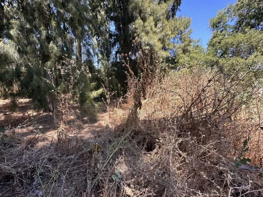 Reliable landscaping services experts serving Rocklin, CA - Nationwide Environmental