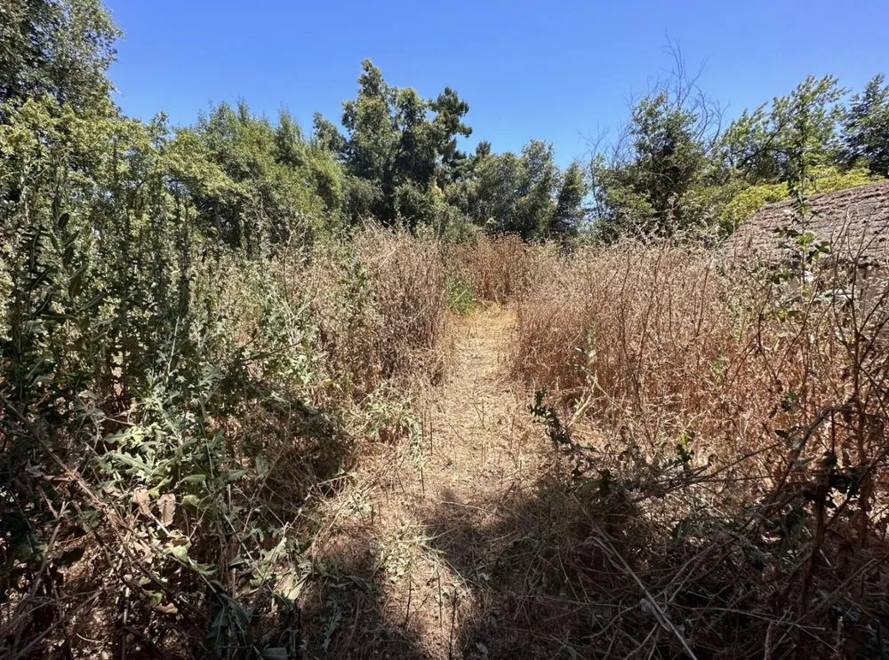 Expert lawn mowing service in Rocklin, CA - Nationwide Environmental