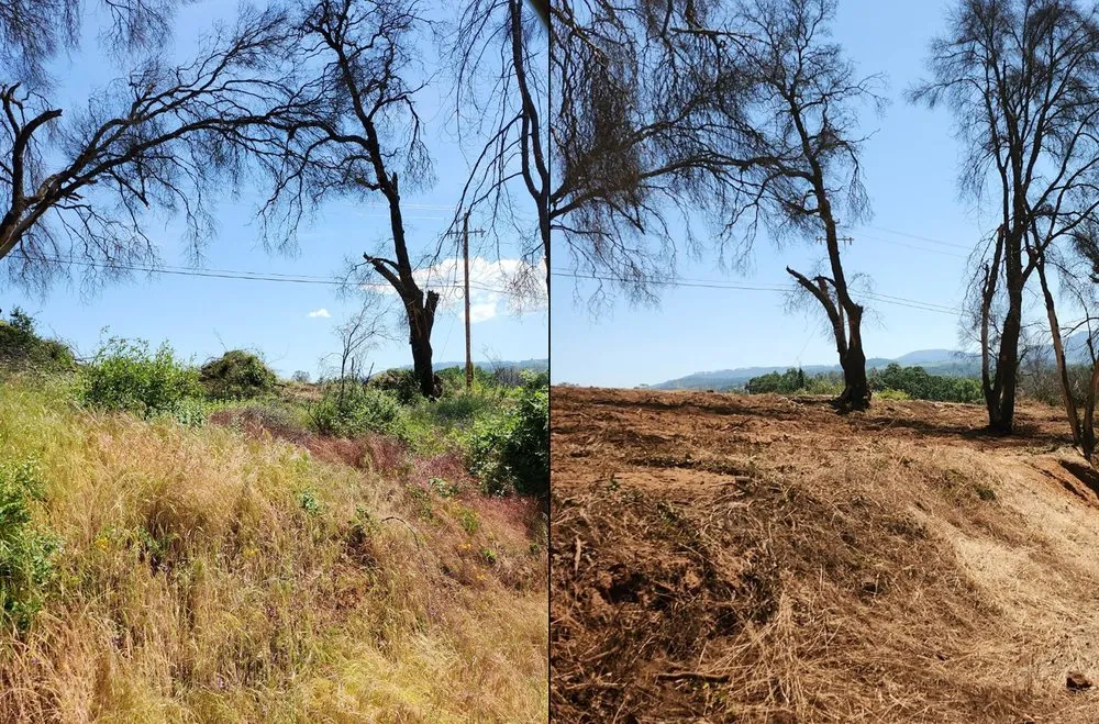 Affordable garden landscaping for year-round maintenance in Rocklin, CA by Nationwide Environmental