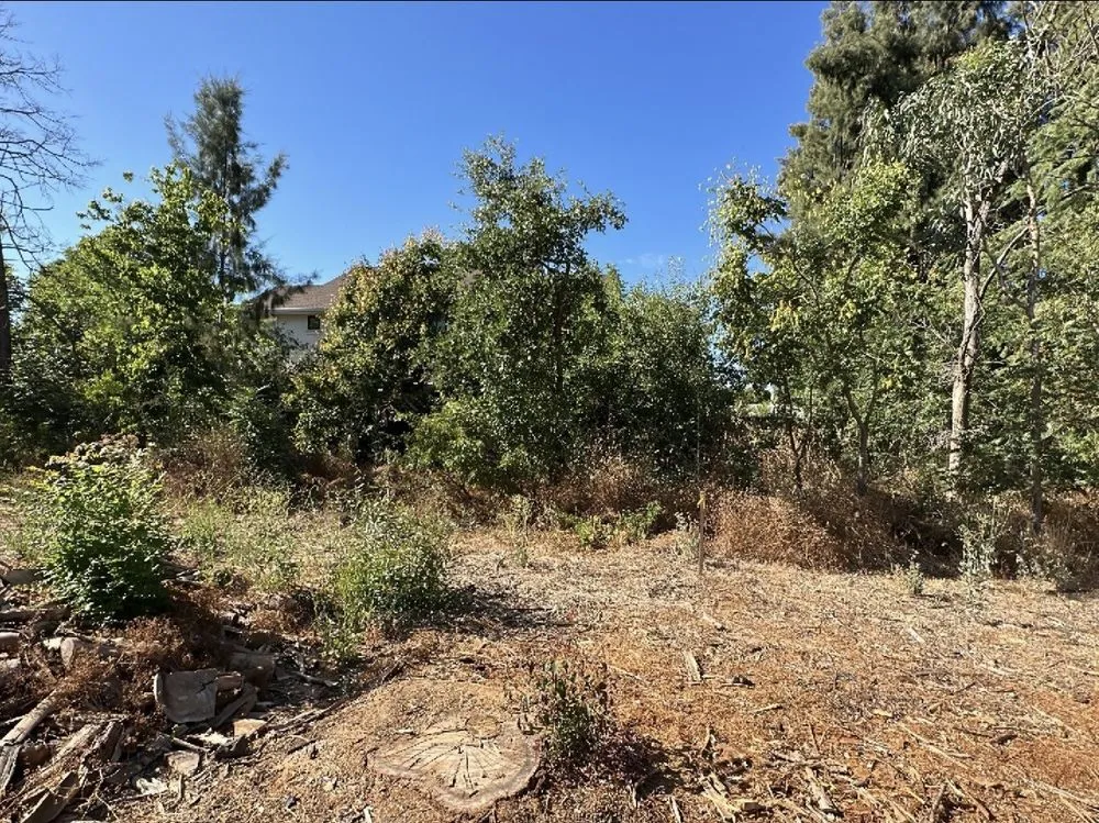 Custom lawn care service with custom design across Rocklin, CA - Nationwide Environmental