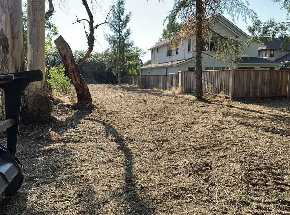 Affordable landscape installation experts serving Rocklin, CA - Nationwide Environmental