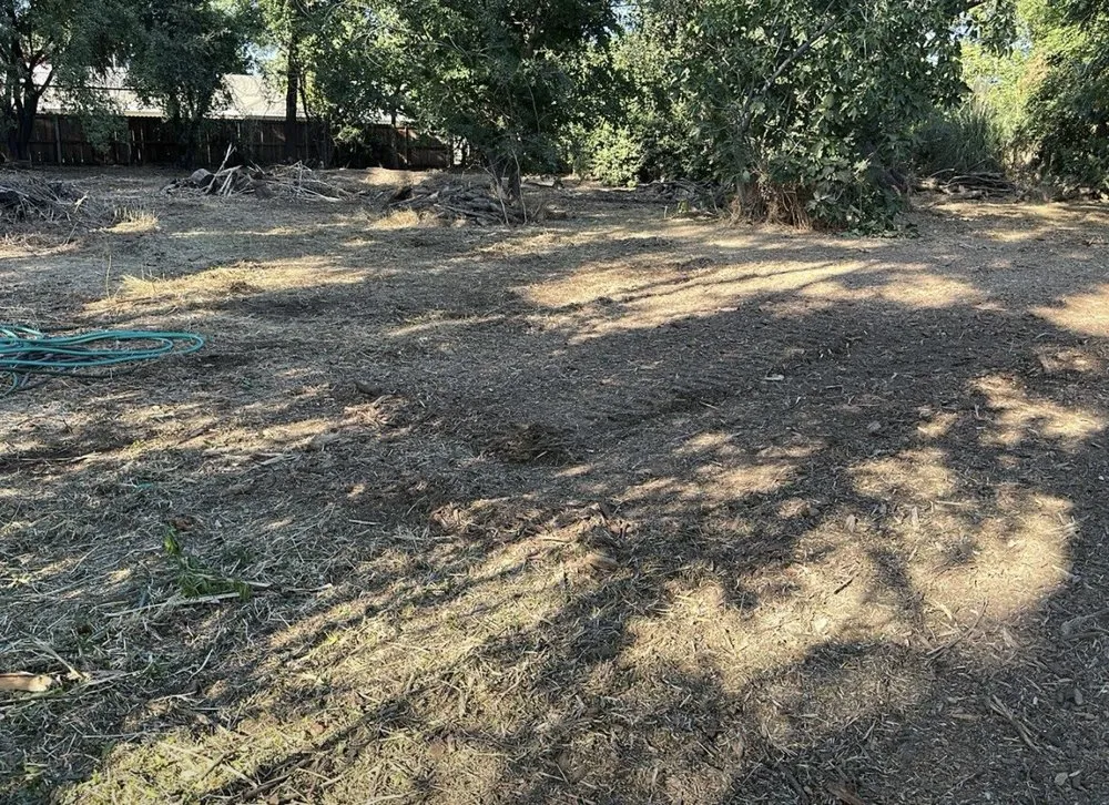 Affordable yard cleanup service in Rocklin, CA - Nationwide Environmental