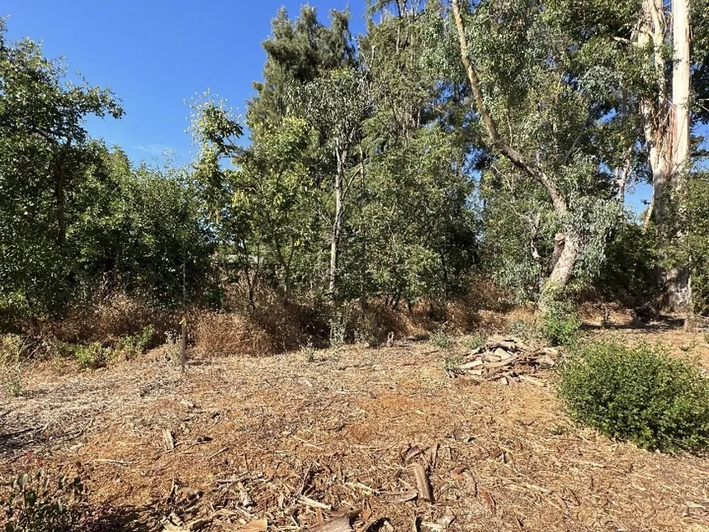 Trusted yard maintenance in Rocklin, CA by Nationwide Environmental