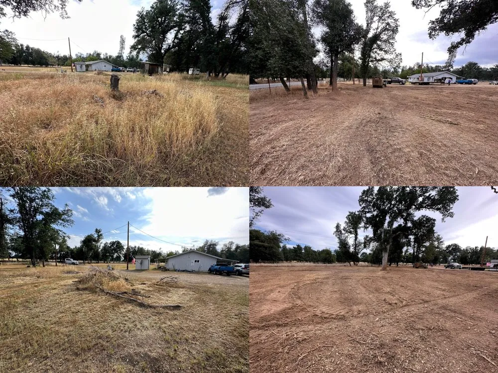 Reliable yard cleanup service experts serving Rocklin, CA - Nationwide Environmental