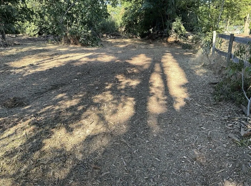 Custom landscaping services for beautiful yards in Rocklin, CA by Nationwide Environmental