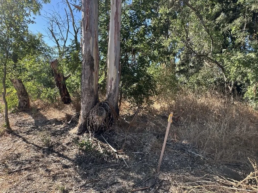 Affordable garden landscaping in Rocklin, CA - Nationwide Environmental