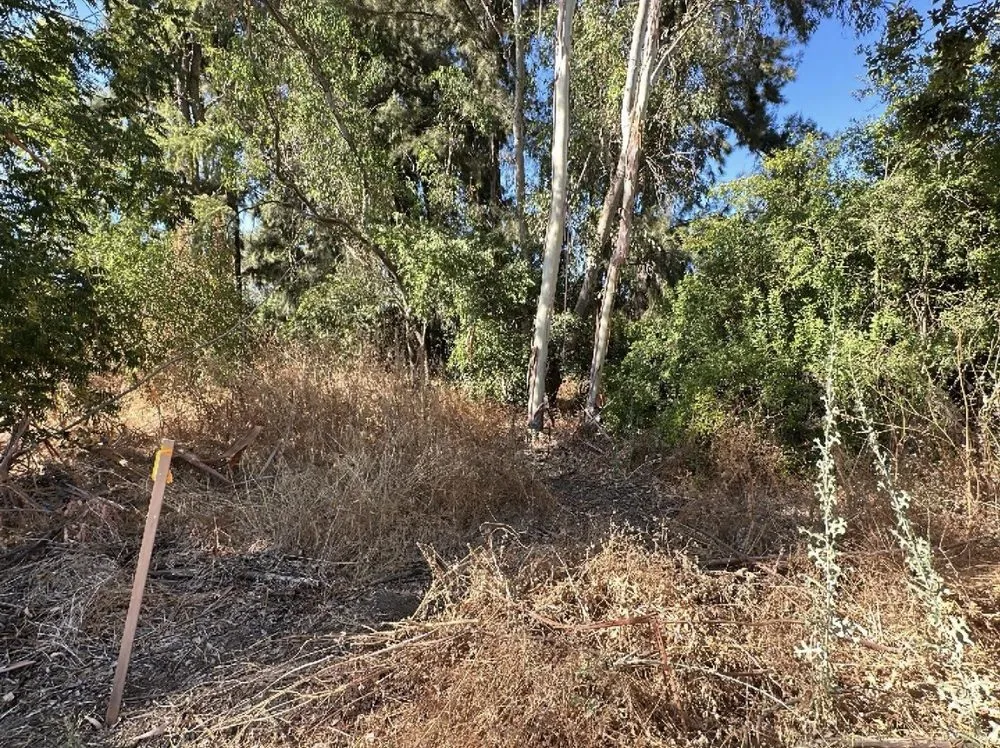 Top-rated landscape design in Rocklin, CA by Nationwide Environmental