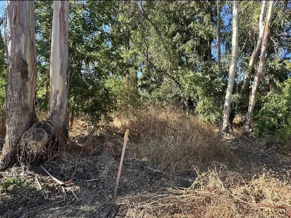 Reliable yard cleanup service for outdoor upgrades across Rocklin, CA - Nationwide Environmental