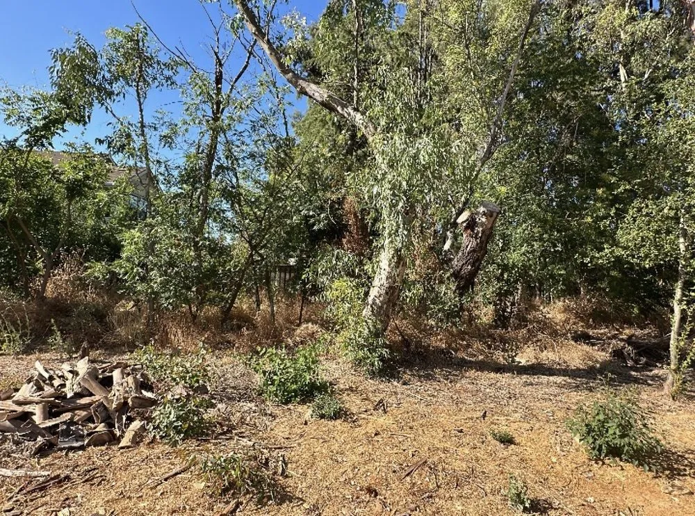 Professional landscape installation in Rocklin, CA by Nationwide Environmental