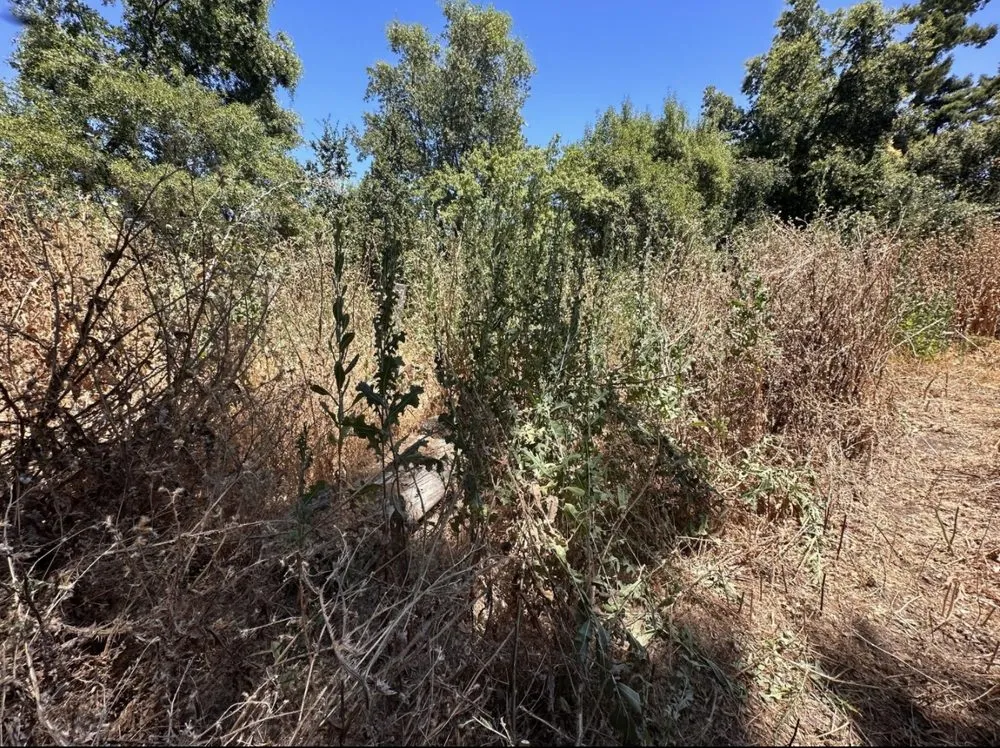 Custom landscape installation experts serving Rocklin, CA - Nationwide Environmental