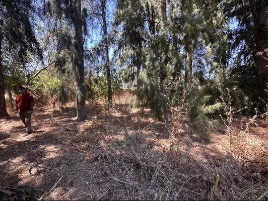 Nationwide Environmental Logo