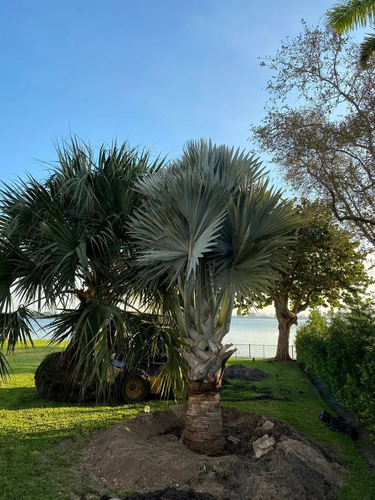 Custom yard maintenance for beautiful yards in Miami, FL by Nationwide Landscaping