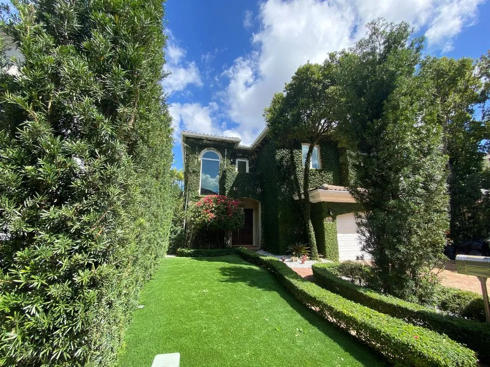 Professional yard cleanup service in Miami, FL by Nationwide Landscaping