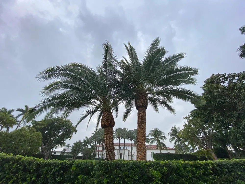 Expert lawn care service experts serving Miami, FL - Nationwide Landscaping