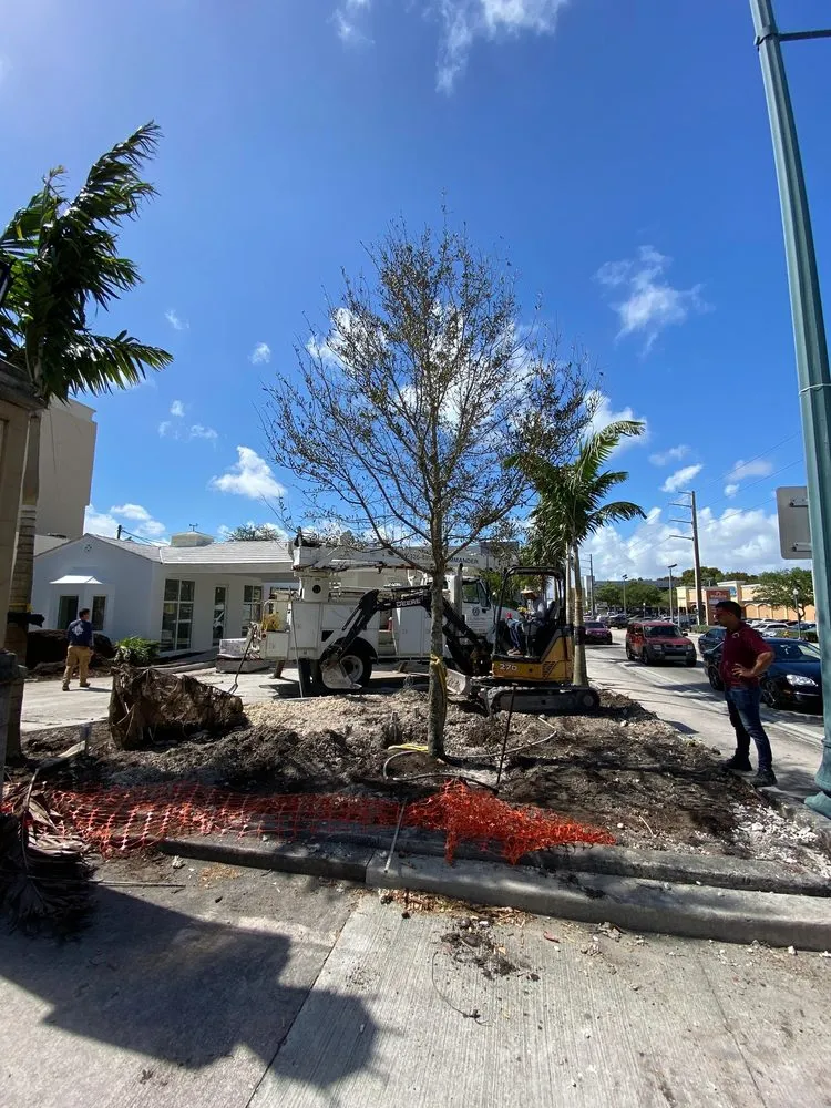 Local lawn care service for homes across Miami, FL - Nationwide Landscaping