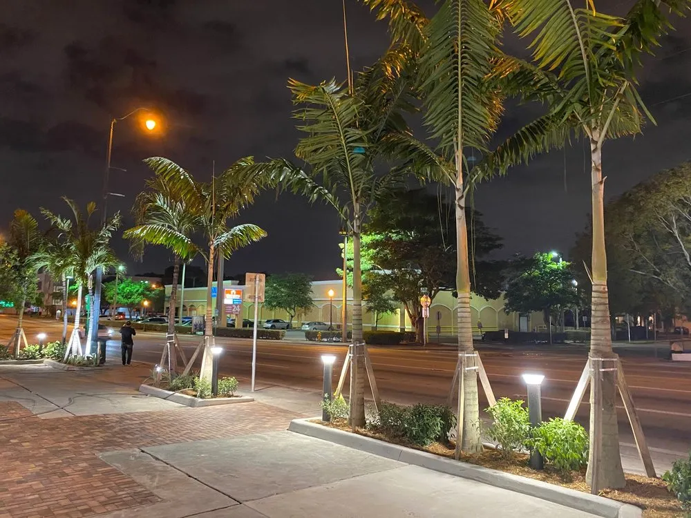 Custom yard cleanup service for outdoor upgrades in Miami, FL by Nationwide Landscaping