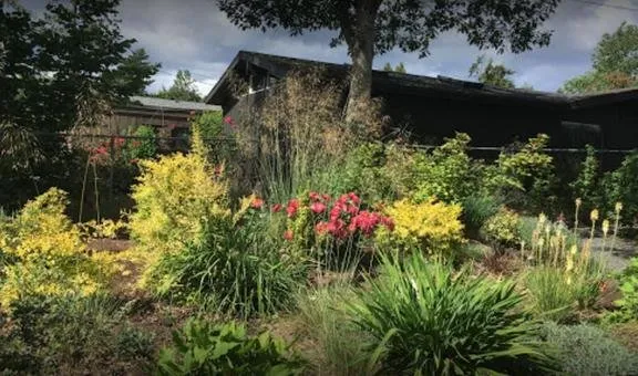 Expert outdoor landscaping in Eugene, OR by Native & Urban Gardens