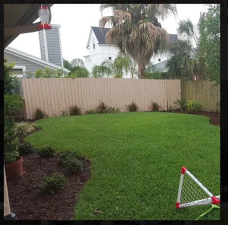Reliable landscape design with custom design across Jacksonville, FL - Native and Uncommon Plants