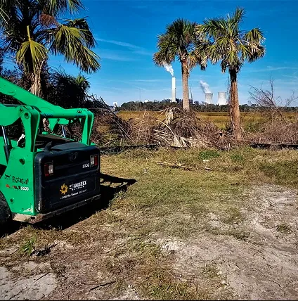 Trusted landscape installation in Jacksonville, FL by Native and Uncommon Plants