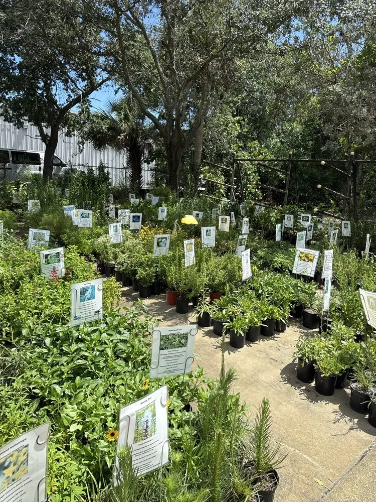 Local lawn mowing service for outdoor upgrades in West Melbourne, FL by Native Butterfly Flowers