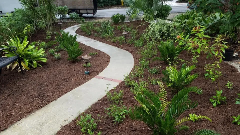 Top-rated landscaping services near you in West Melbourne, FL by Native Butterfly Flowers