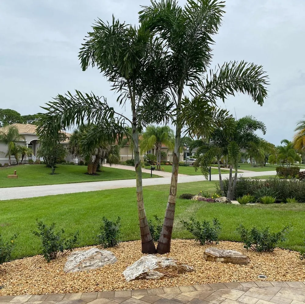 Professional lawn care service in Englewood, FL - Native Care Landscape Design