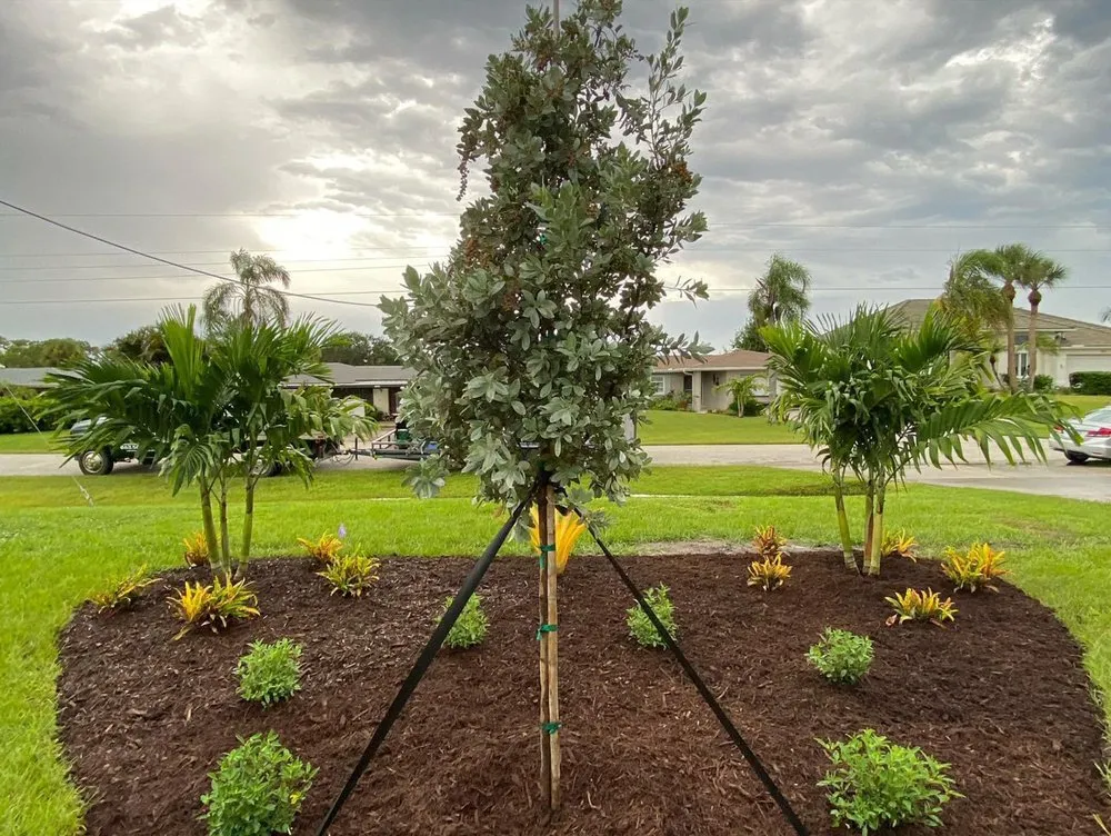 Professional garden landscaping for year-round maintenance across Englewood, FL - Native Care Landscape Design