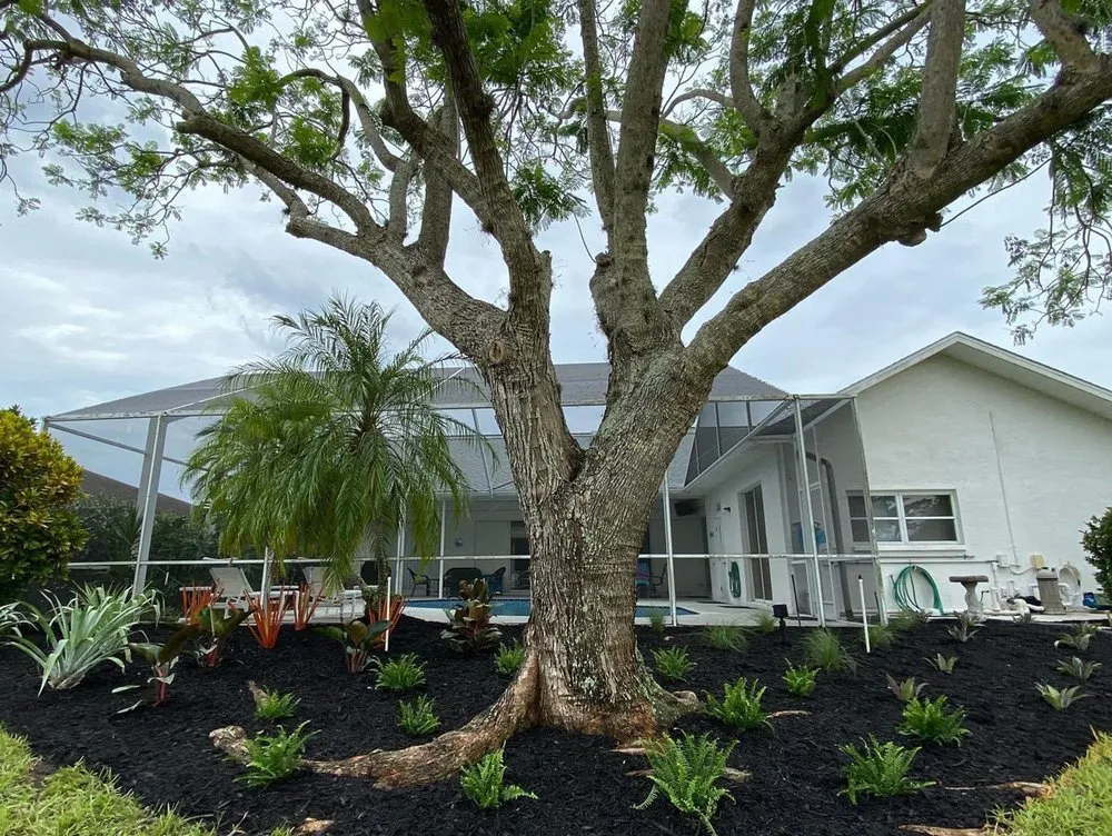 Reliable landscaping services near you across Englewood, FL - Native Care Landscape Design