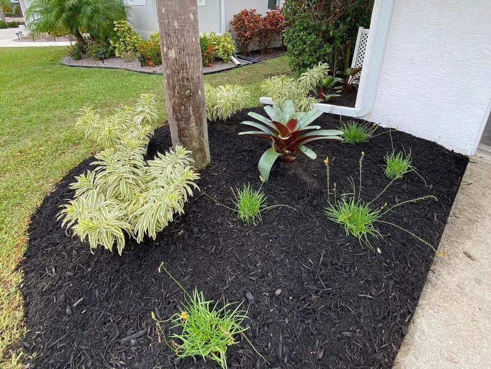 Local yard cleanup service near you in Englewood, FL by Native Care Landscape Design