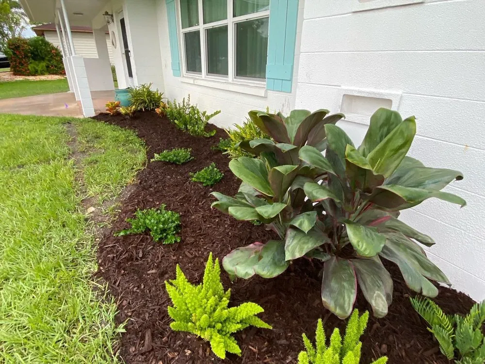 Affordable yard maintenance near you in Englewood, FL by Native Care Landscape Design