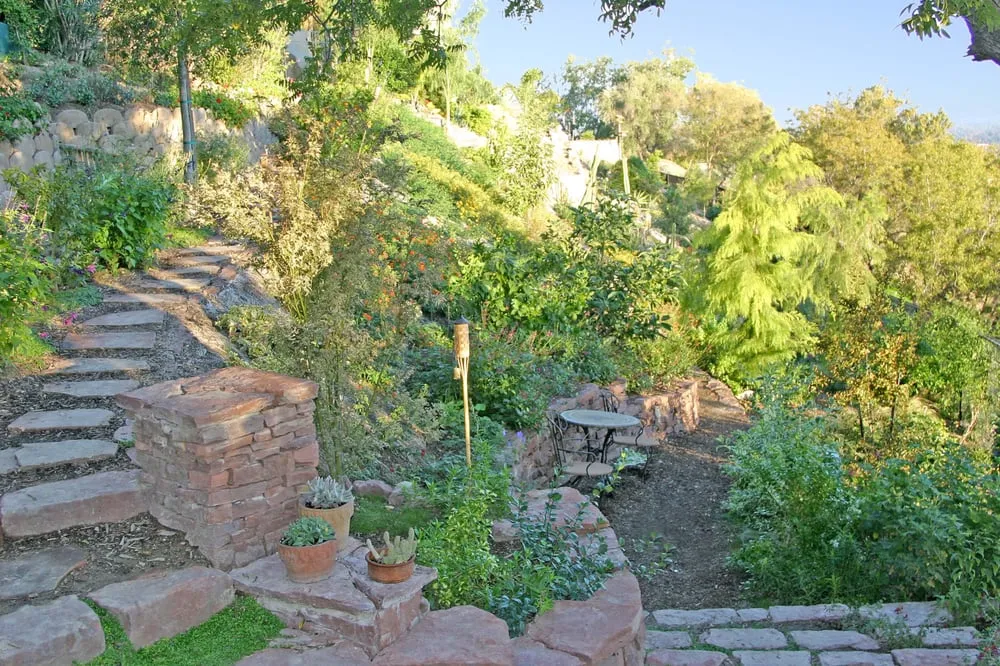 Expert lawn care service for outdoor upgrades in Malibu, CA by Native Concepts Landscape & Design