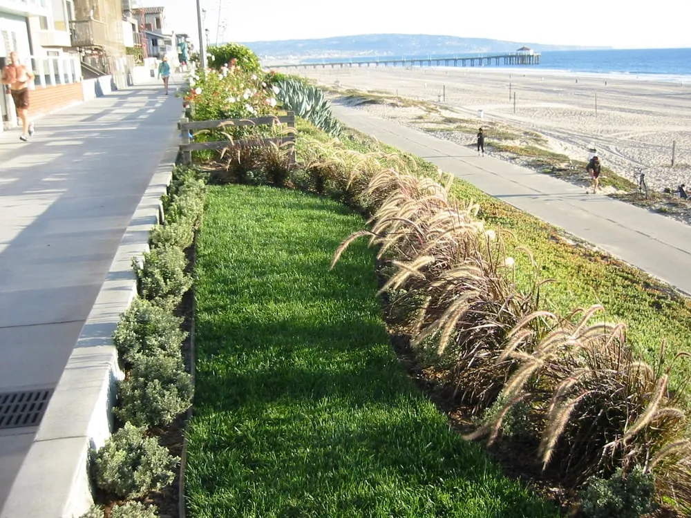 Local residential landscaping in Malibu, CA - Native Concepts Landscape & Design