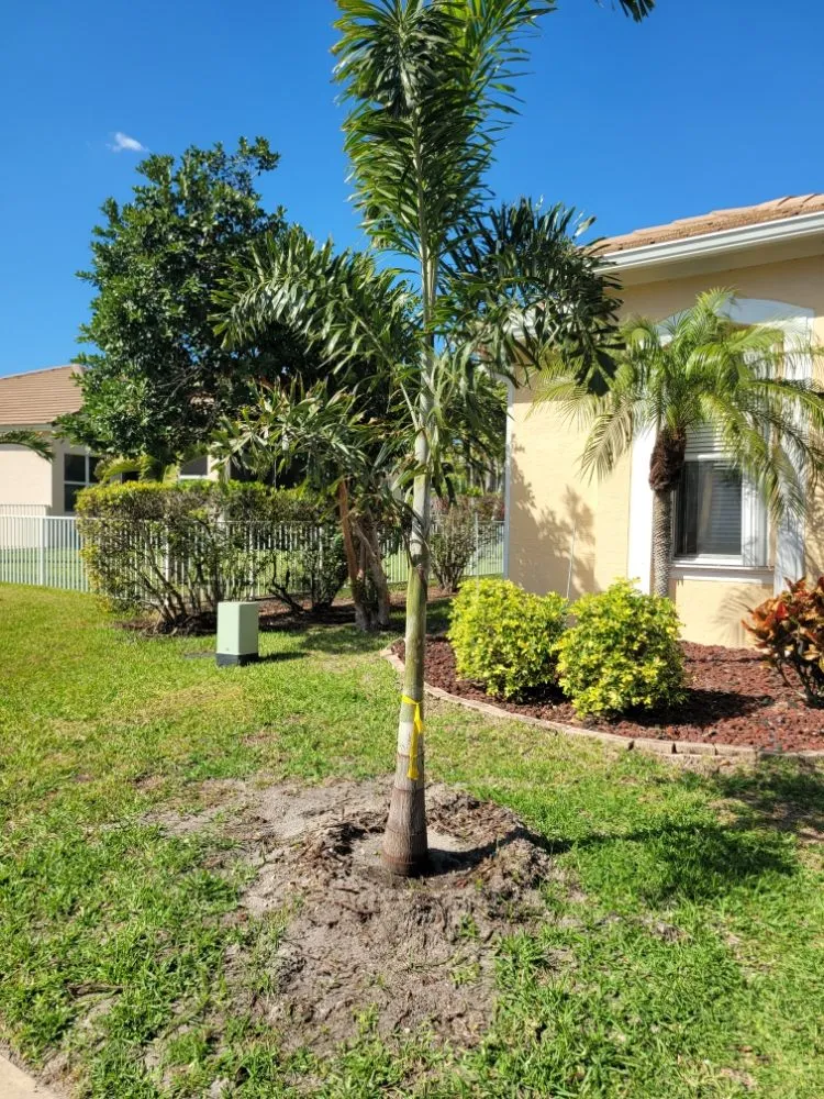 Top-rated yard cleanup service for outdoor upgrades across port st lucie, FL - Native Control Services