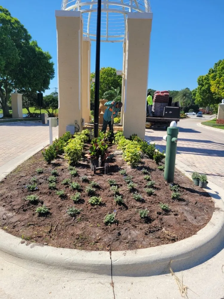 Local yard cleanup service experts serving port st lucie, FL - Native Control Services