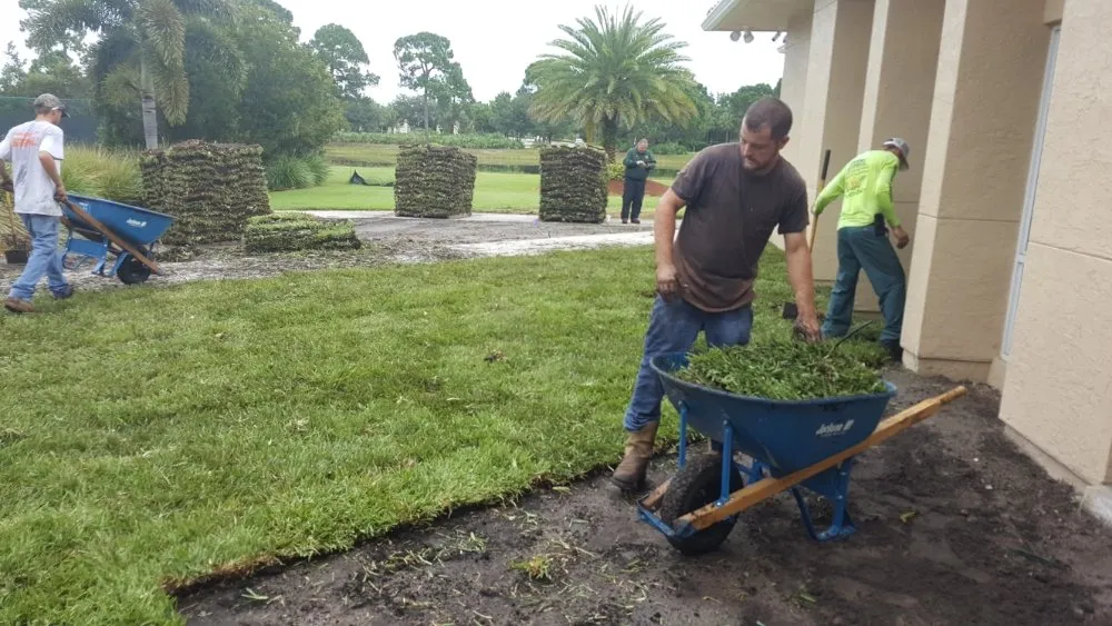 Reliable landscape design in port st lucie, FL - Native Control Services