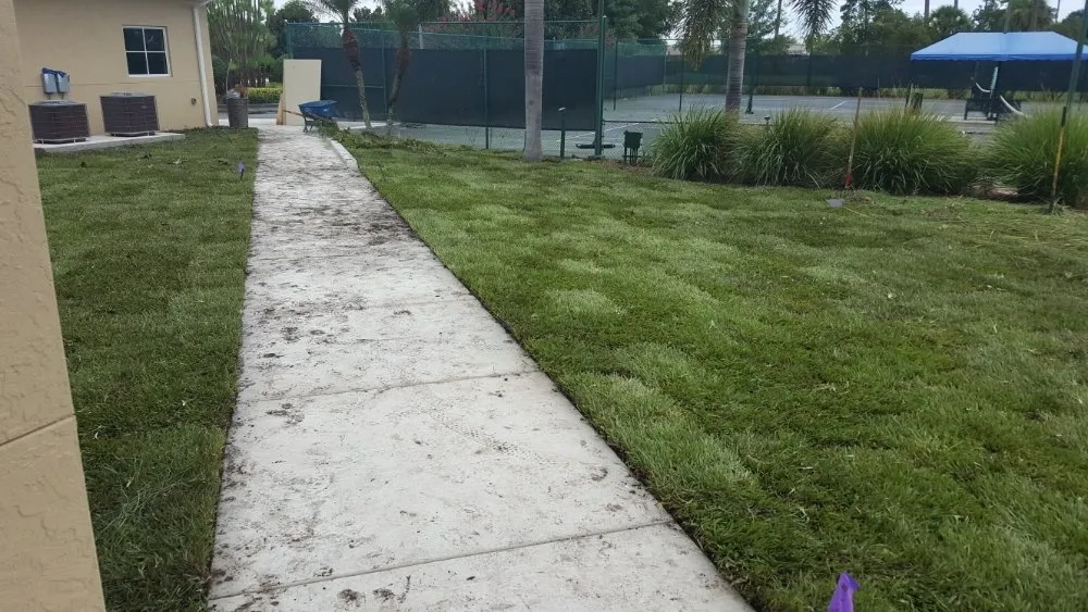 Custom lawn mowing service experts serving port st lucie, FL - Native Control Services