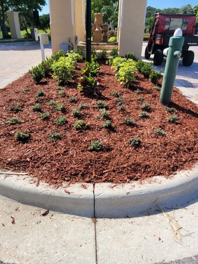 Top-rated residential landscaping for year-round maintenance in port st lucie, FL by Native Control Services